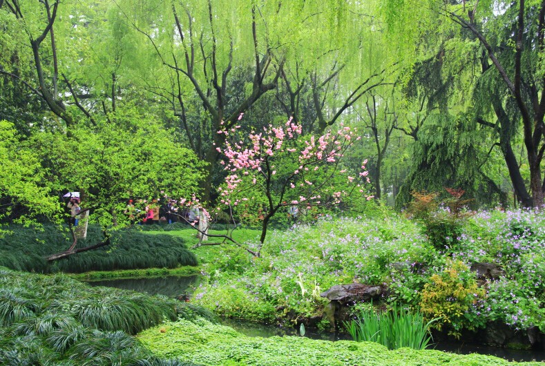 现为柳浪闻莺公园,地处西湖东南隅湖岸 ,园林布局开朗,清新,雅丽,朴实