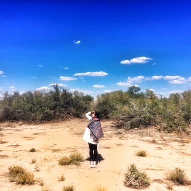 【阿拉善右旗图片】grass 西