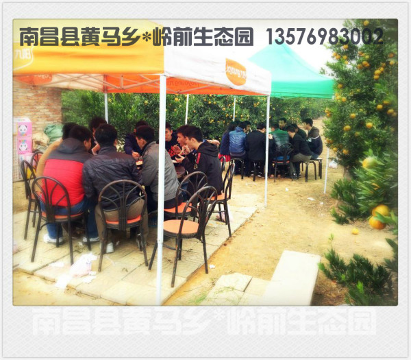 黄马店游玩攻略,黄马店游玩攻略一日游
