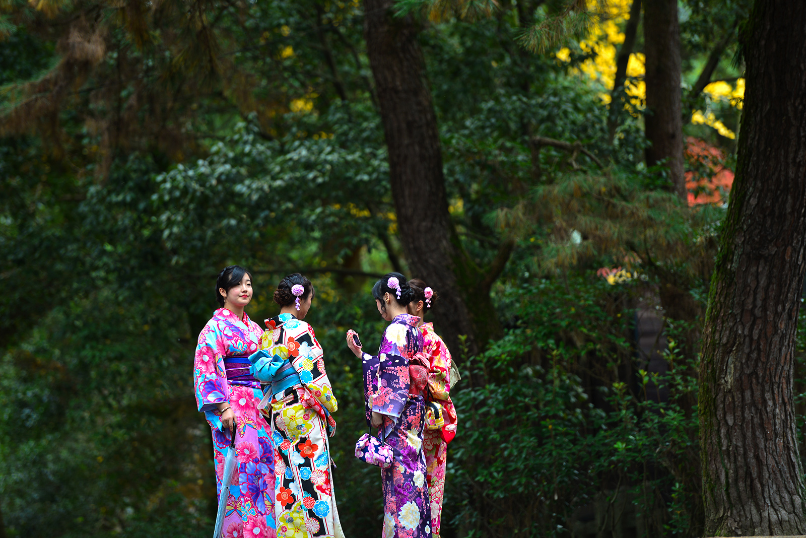 日本相扑横纲收入_日本相扑比赛_相扑手收入(3)