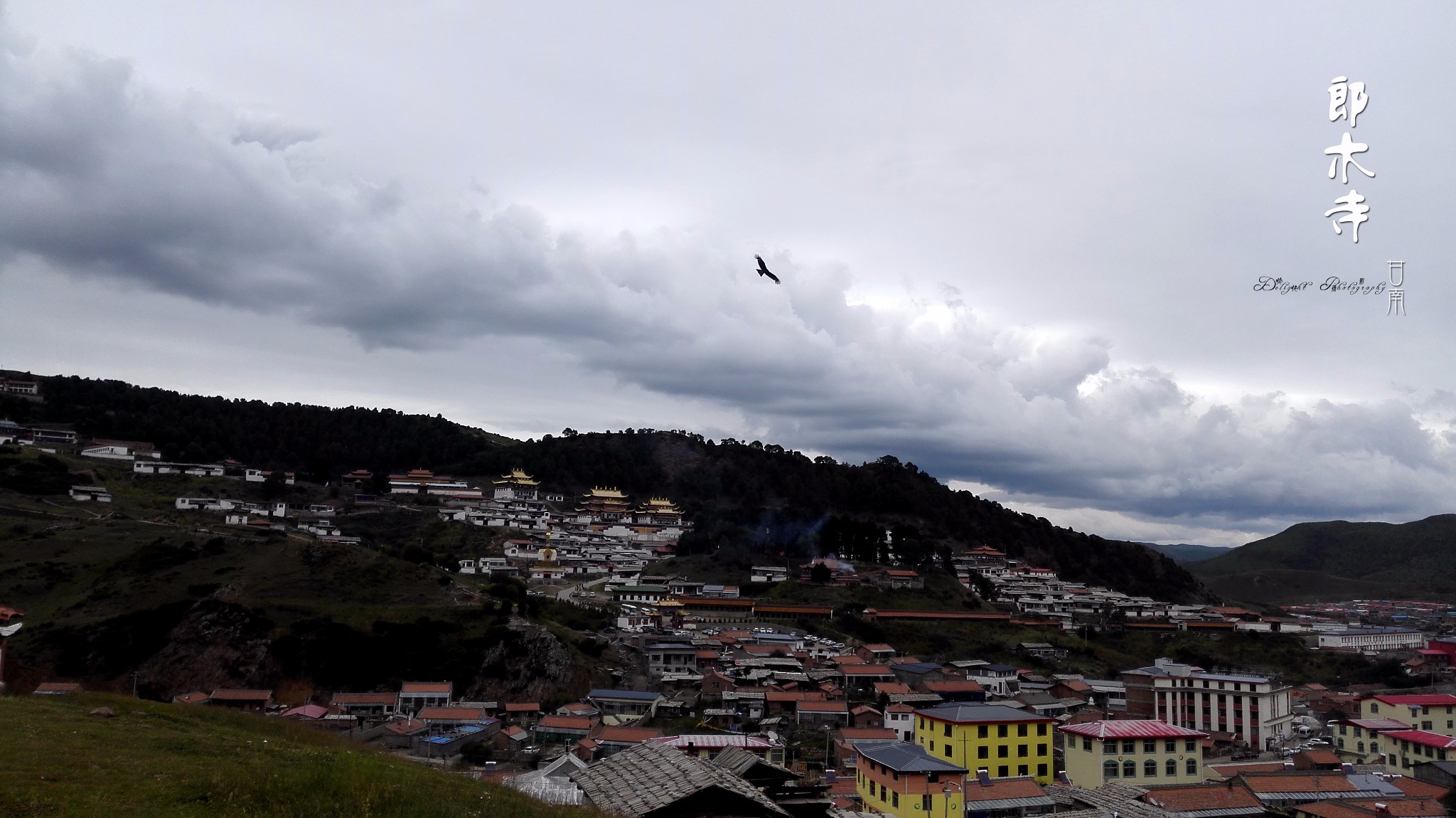 愉快游记之行摄郎木寺_游记