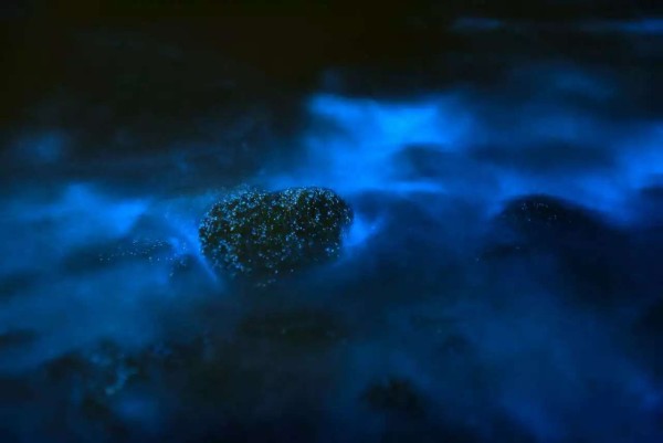 手机怎么拍月光 wKgBs1d9tgaAeGOzAAEDYLRWpV811.jpeg?imageView2%2F2%2Fw%2F600%2Fh%2F600%2Fq%2F90