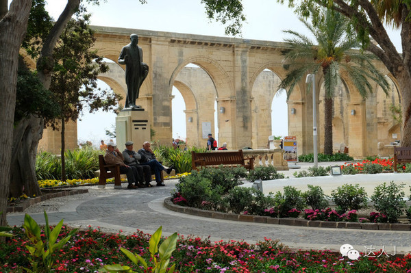 看看这只马耳他猫的表情,它好像错过了几个亿