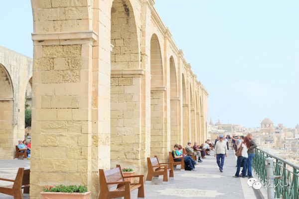 看看这只马耳他猫的表情,它好像错过了几个亿