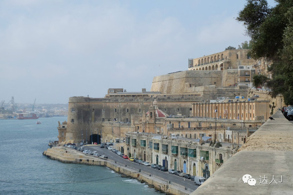 看看这只马耳他猫的表情,它好像错过了几个亿