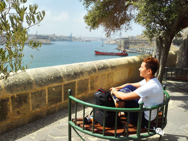 看看这只马耳他猫的表情,它好像错过了几个亿