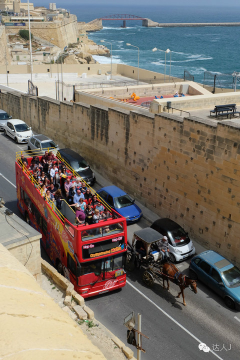 看看这只马耳他猫的表情，它好像错过了几个亿