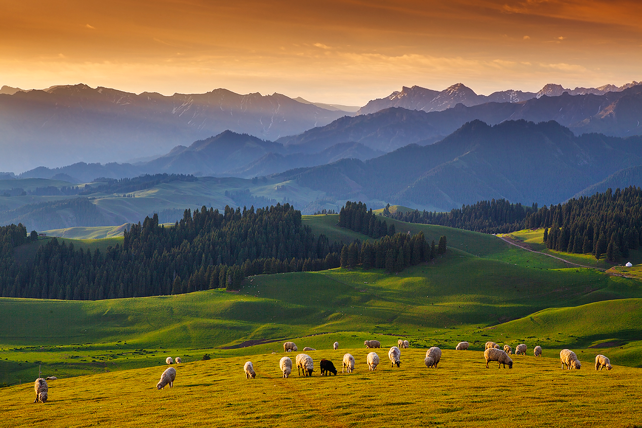 7月底打算暑假带孩子去新疆，适合去南疆还是北疆呢