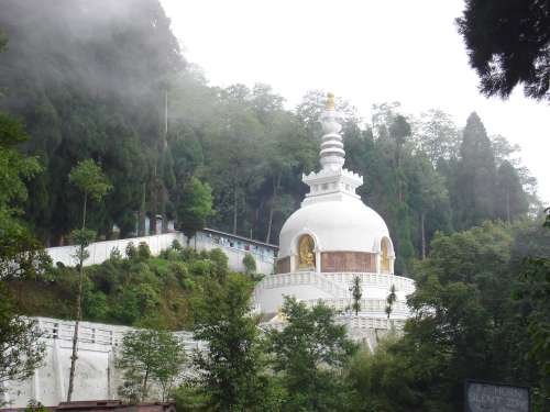 东京美食-DARJEELING