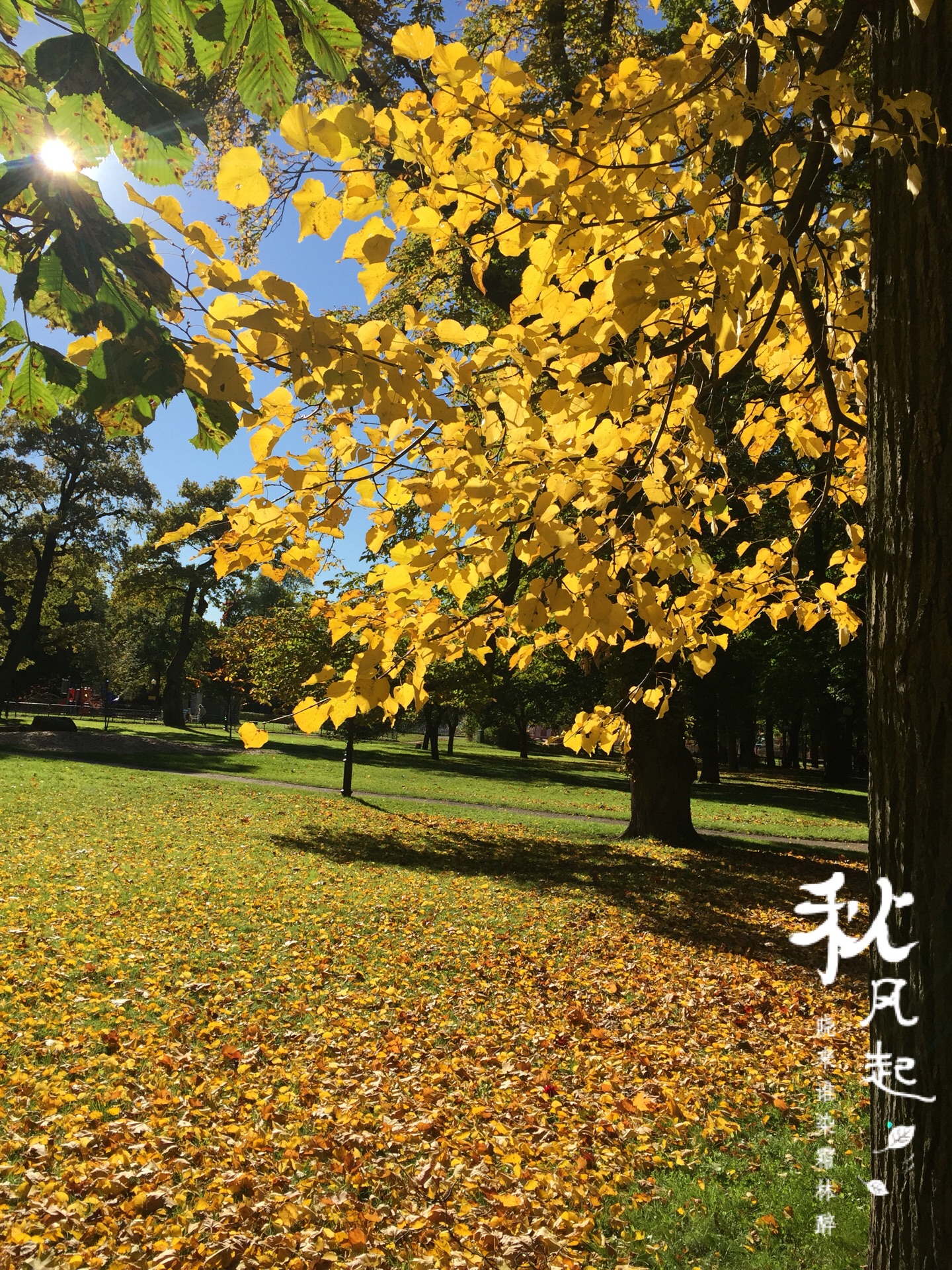 秋日里的波罗的海-拉脱维亚之里加_游记