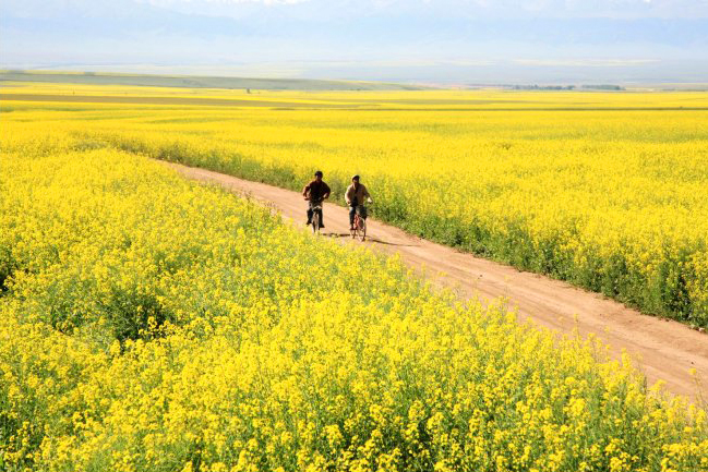 7月底打算暑假带孩子去新疆，适合去南疆还是北疆呢