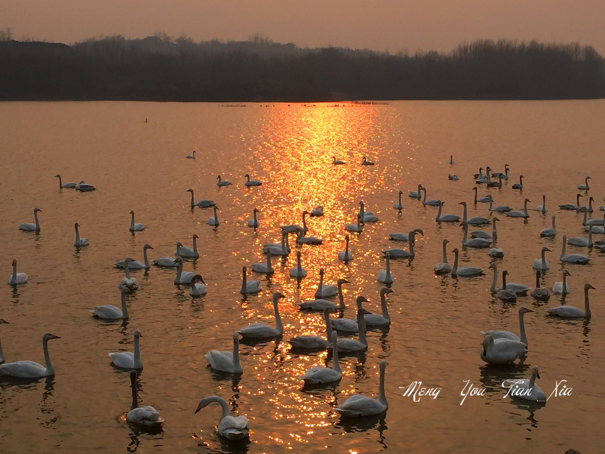 【 夢：走遍中国 】NO 15：河南【 时光清浅，...