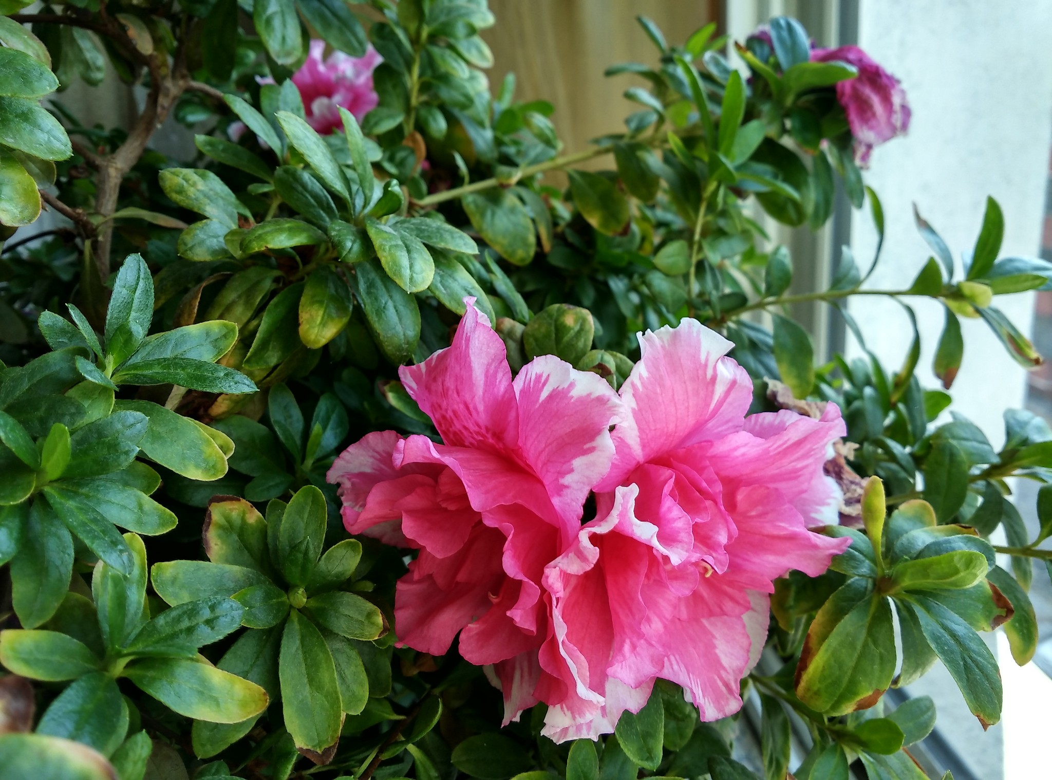 国庆节游家乡鹤岗名山岛、兴龙峡谷----秋天的小兴安岭_游记