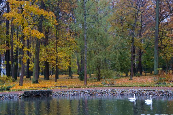 温馨的圣彼得堡之二。