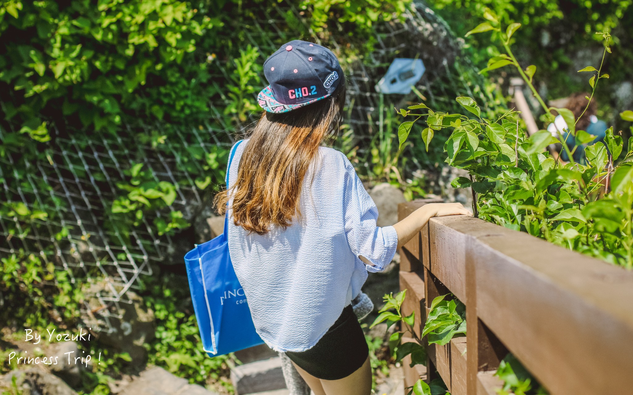 [By Yozuki] 在海上浪吧！蓝宝石公主号的巡游...