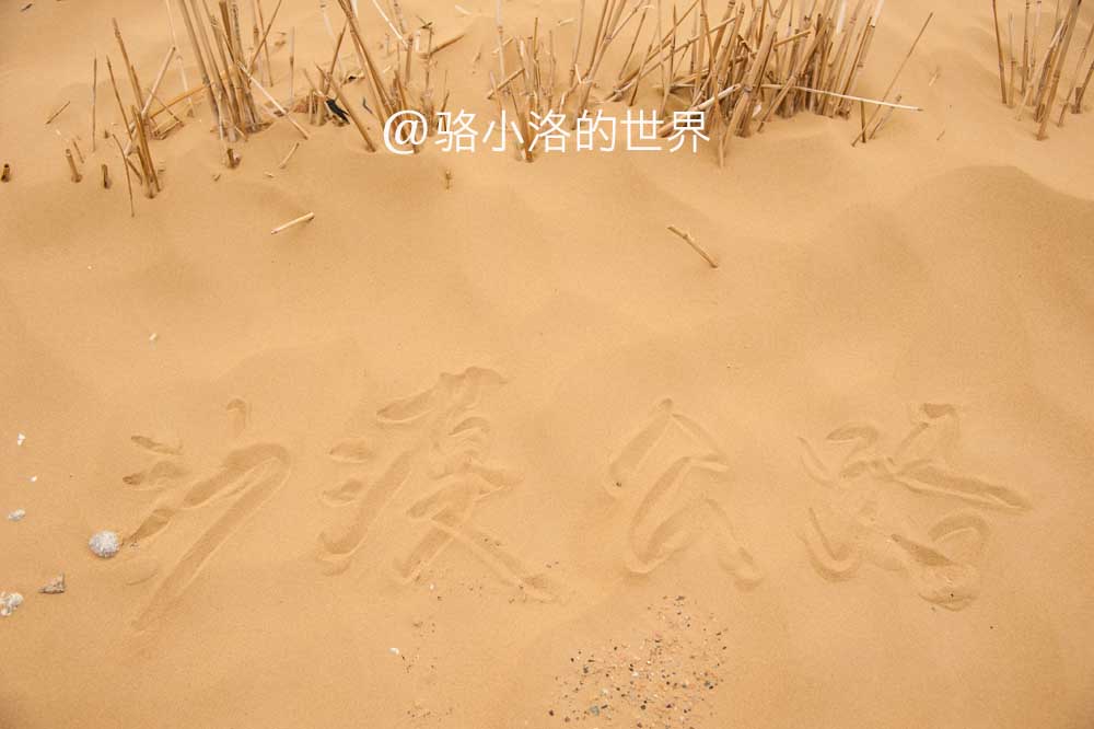 7月底打算暑假带孩子去新疆，适合去南疆还是北疆呢