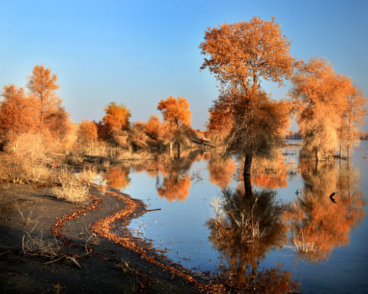 7月底打算暑假带孩子去新疆，适合去南疆还是北疆呢