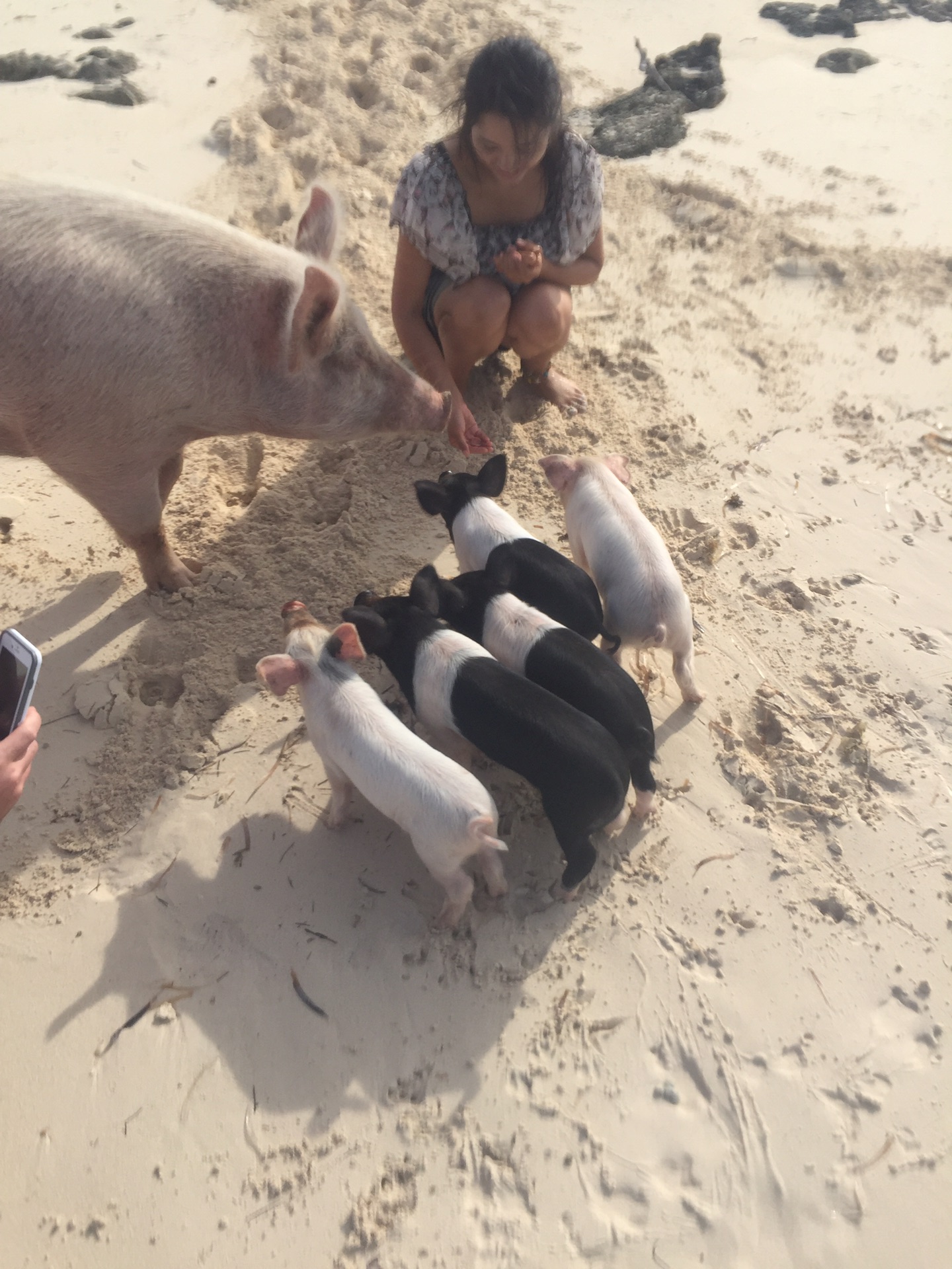 2016.9.1-9.13圣地亚哥(7晚7天）+巴哈马(5晚6天) 之巴哈马篇_游记