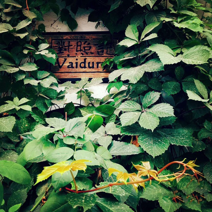 北京娱乐-对照记