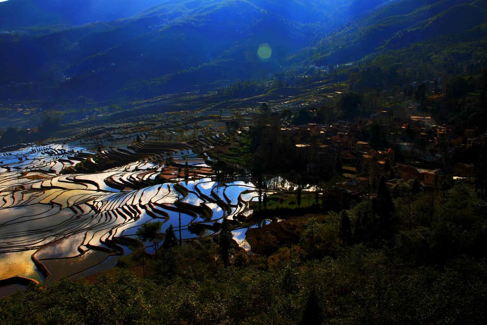 哈尼梯田