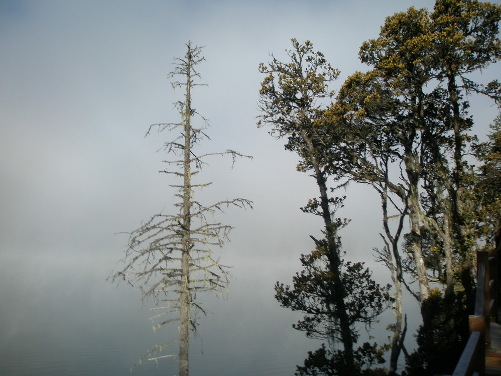 虚空幻境之山水木
