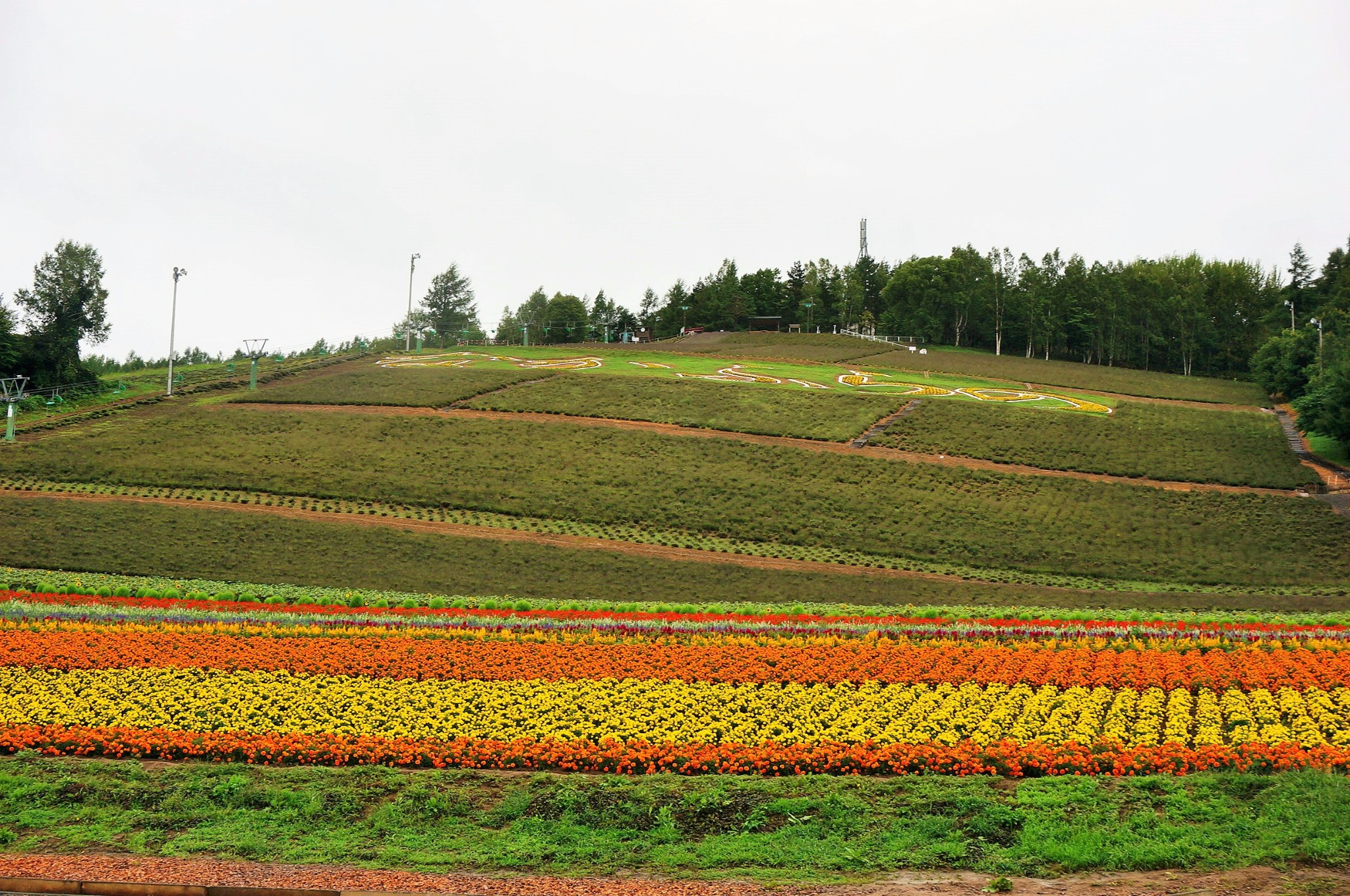 北海道自助遊攻略