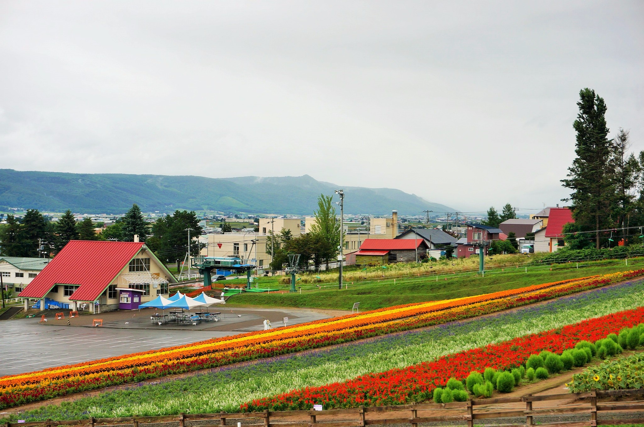 北海道自助遊攻略