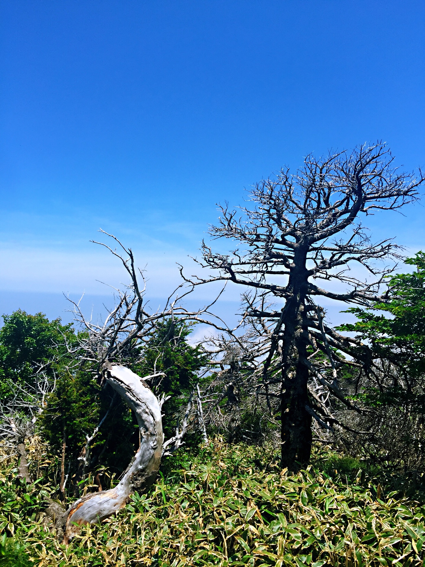 濟州島自助遊攻略