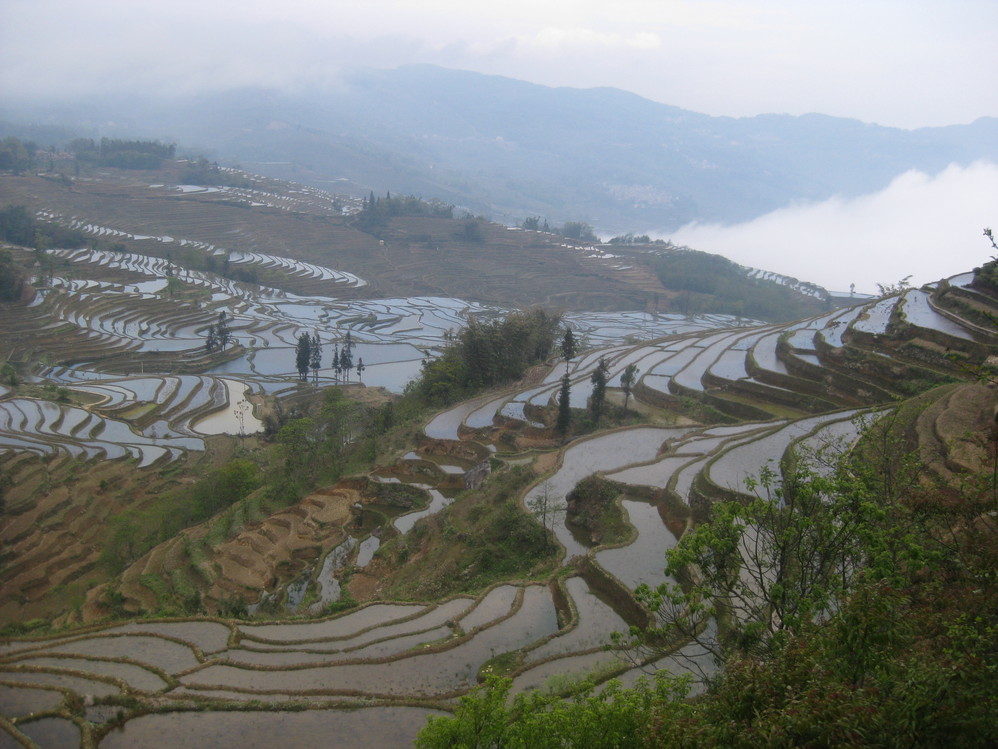 雲南省旅遊 元陽旅遊攻略 元陽哈尼梯田——震撼的大地雕塑藝術