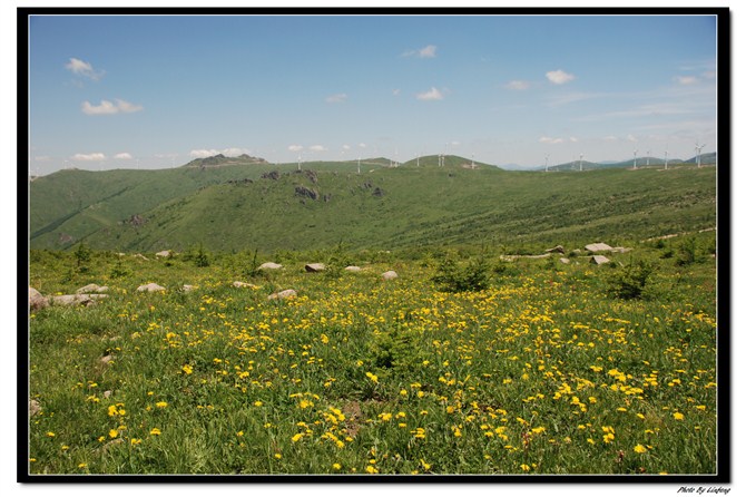 沽源冰山梁图片