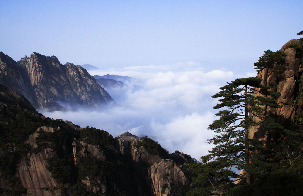 黃山四絕之.雲海與奇松,黃山自助遊攻略 - 馬蜂窩