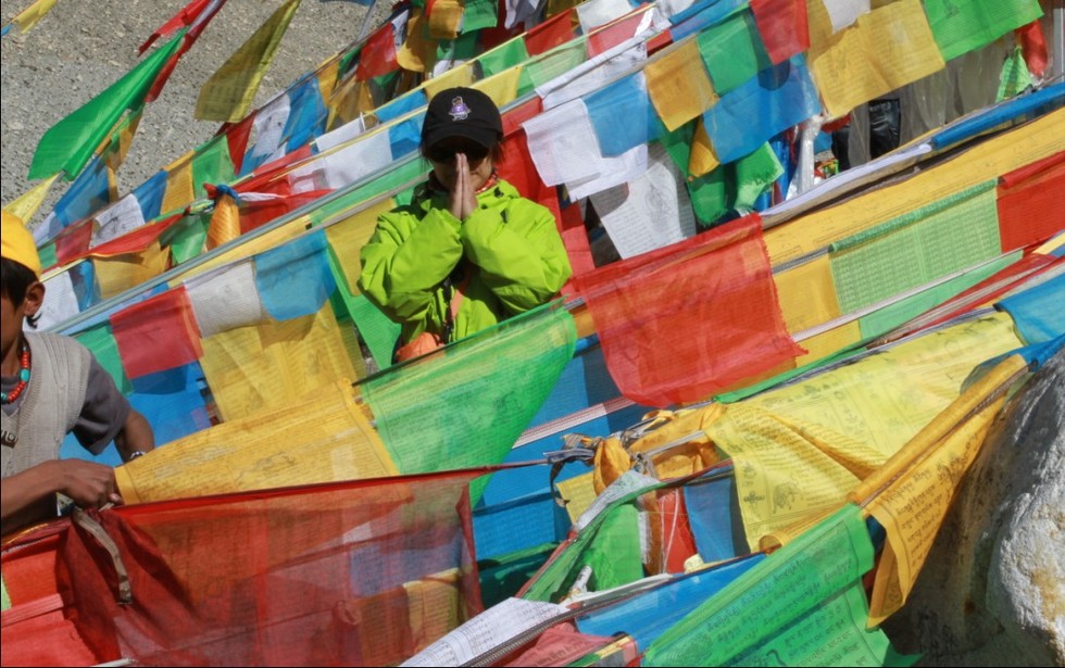 一米阳光下的猫