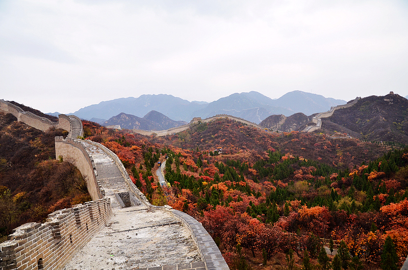 壯觀蹬八達嶺長城賞紅葉