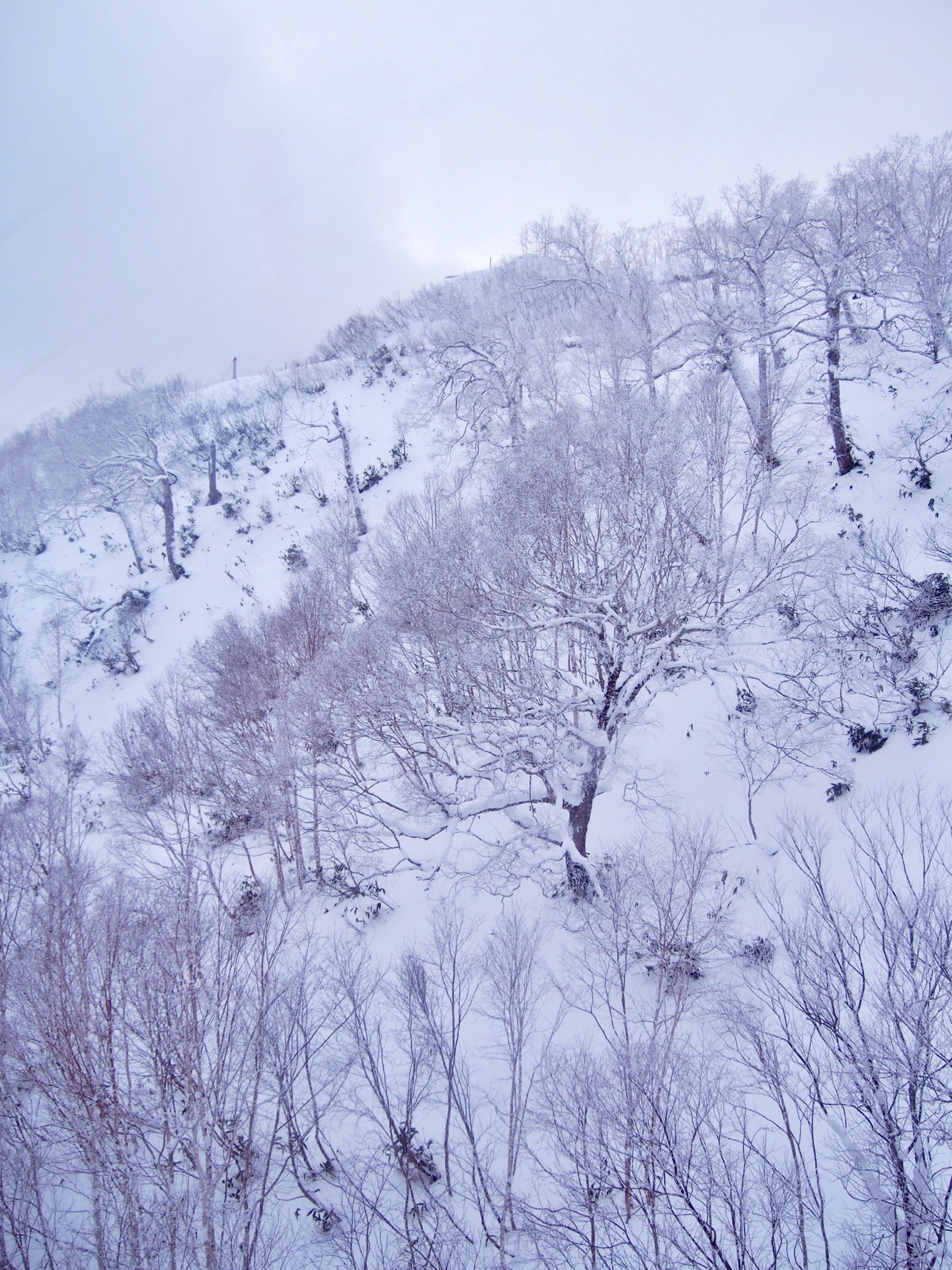 北海道自助遊攻略