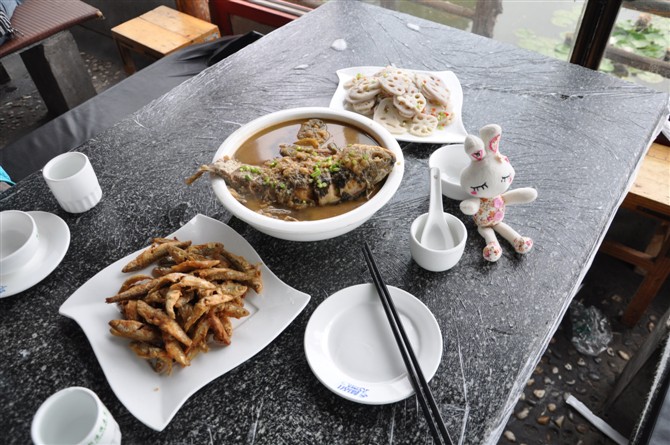 淮阳美食-东湖鱼庄