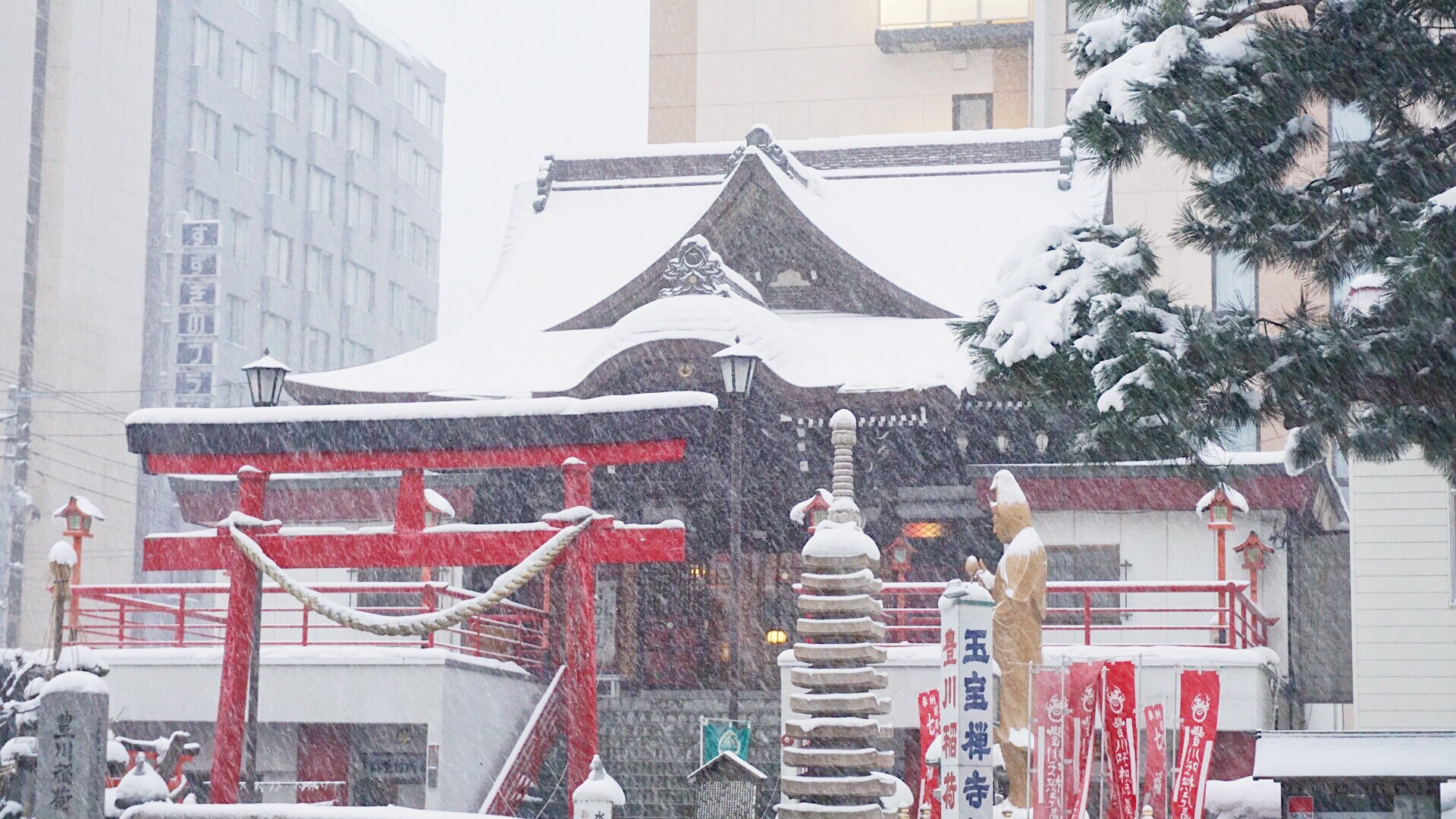 北海道自助遊攻略