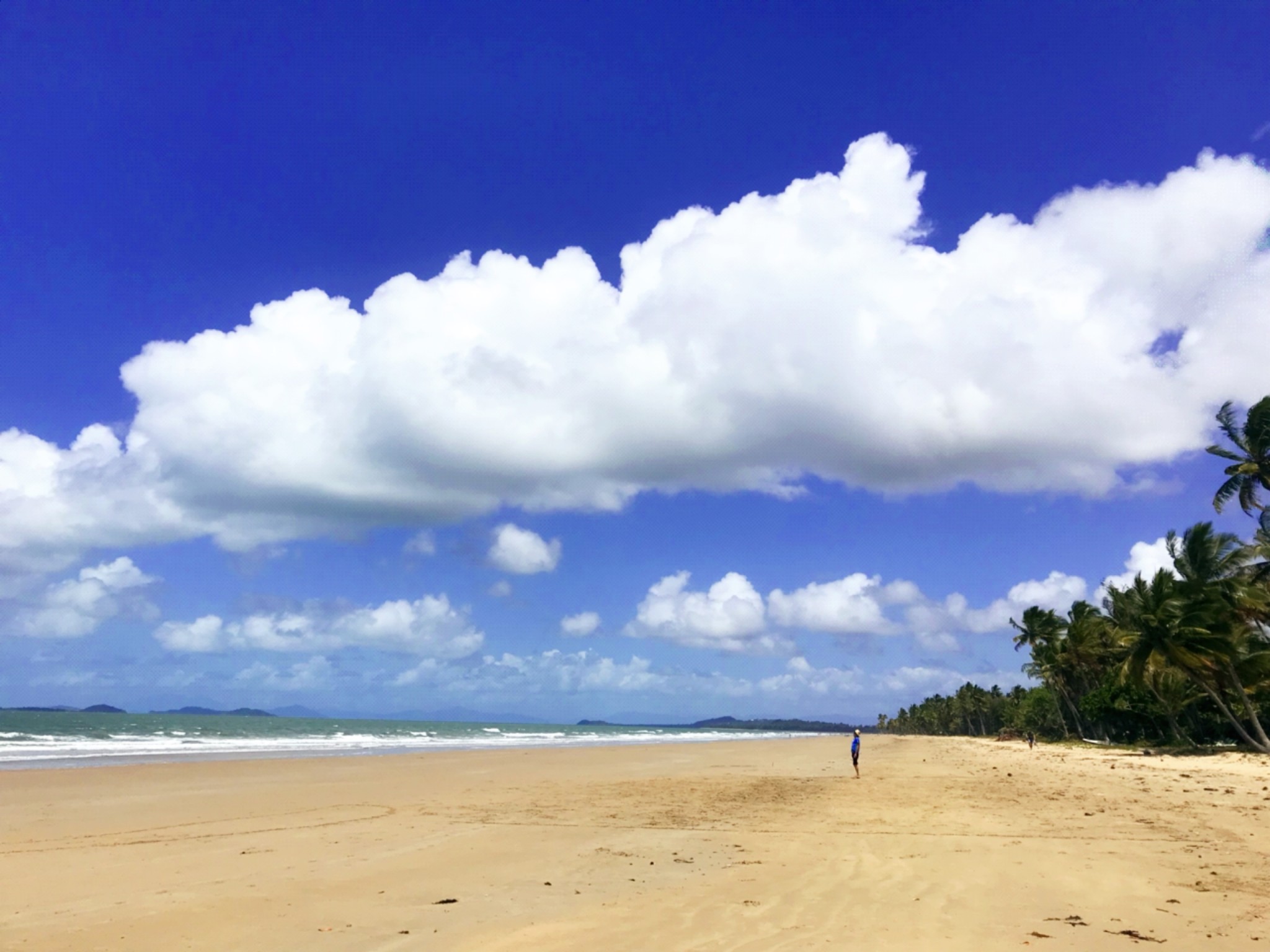 凯恩斯跳伞攻略 凯恩斯跳伞门票 地址 凯恩斯跳伞景点攻略 马蜂窝