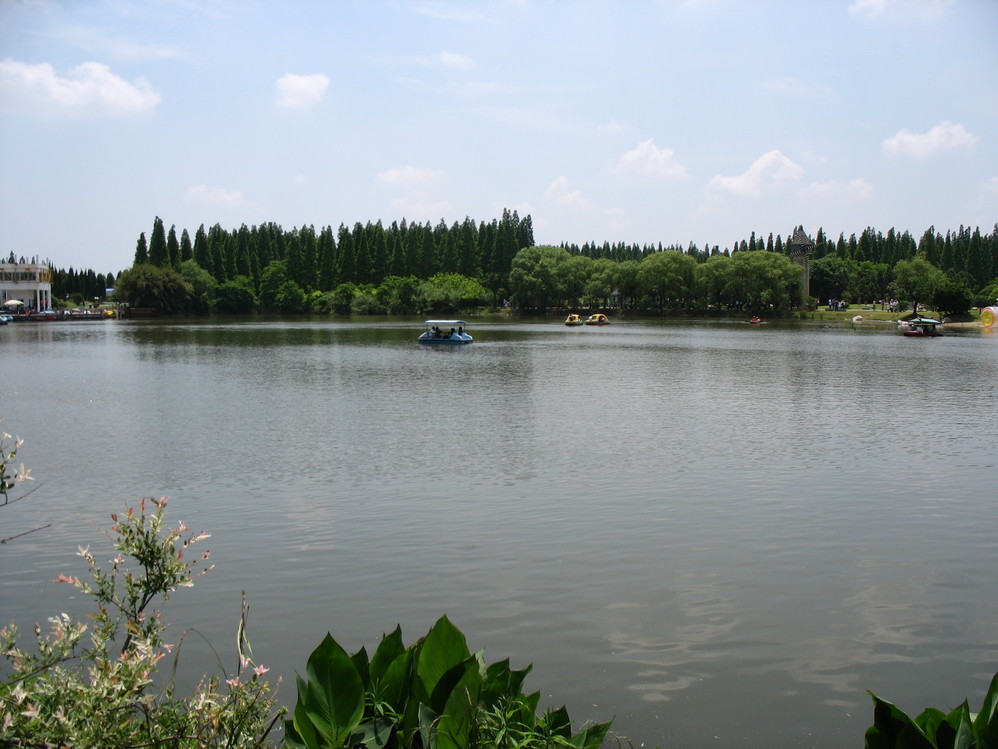 上海崇明東平國家森林公園西沙溼地公園一日遊