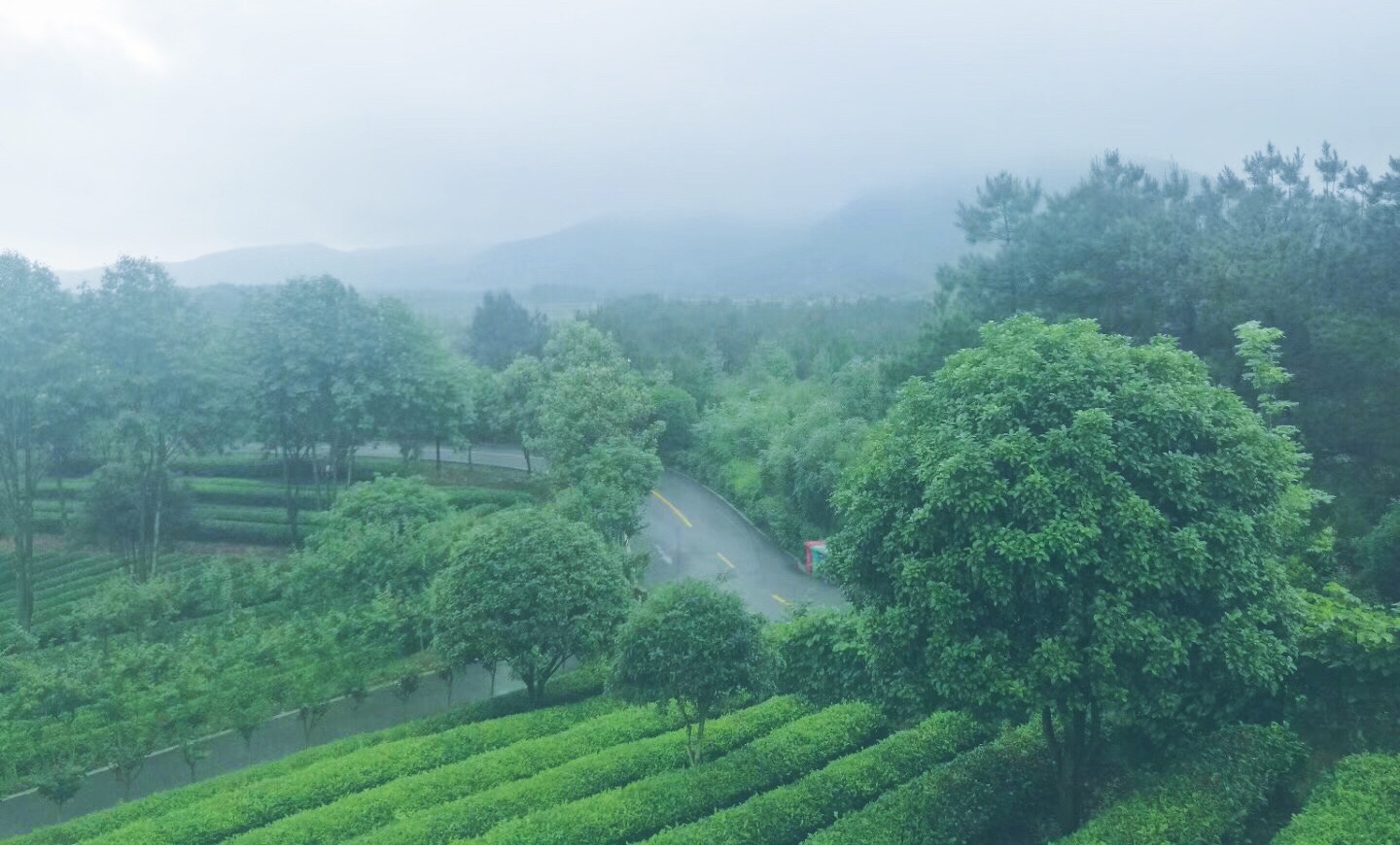 長沙周邊,踏春賞花地盤點