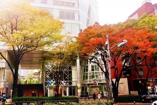 秋天东京赏红叶 有哪些地方值得一去 马蜂窝