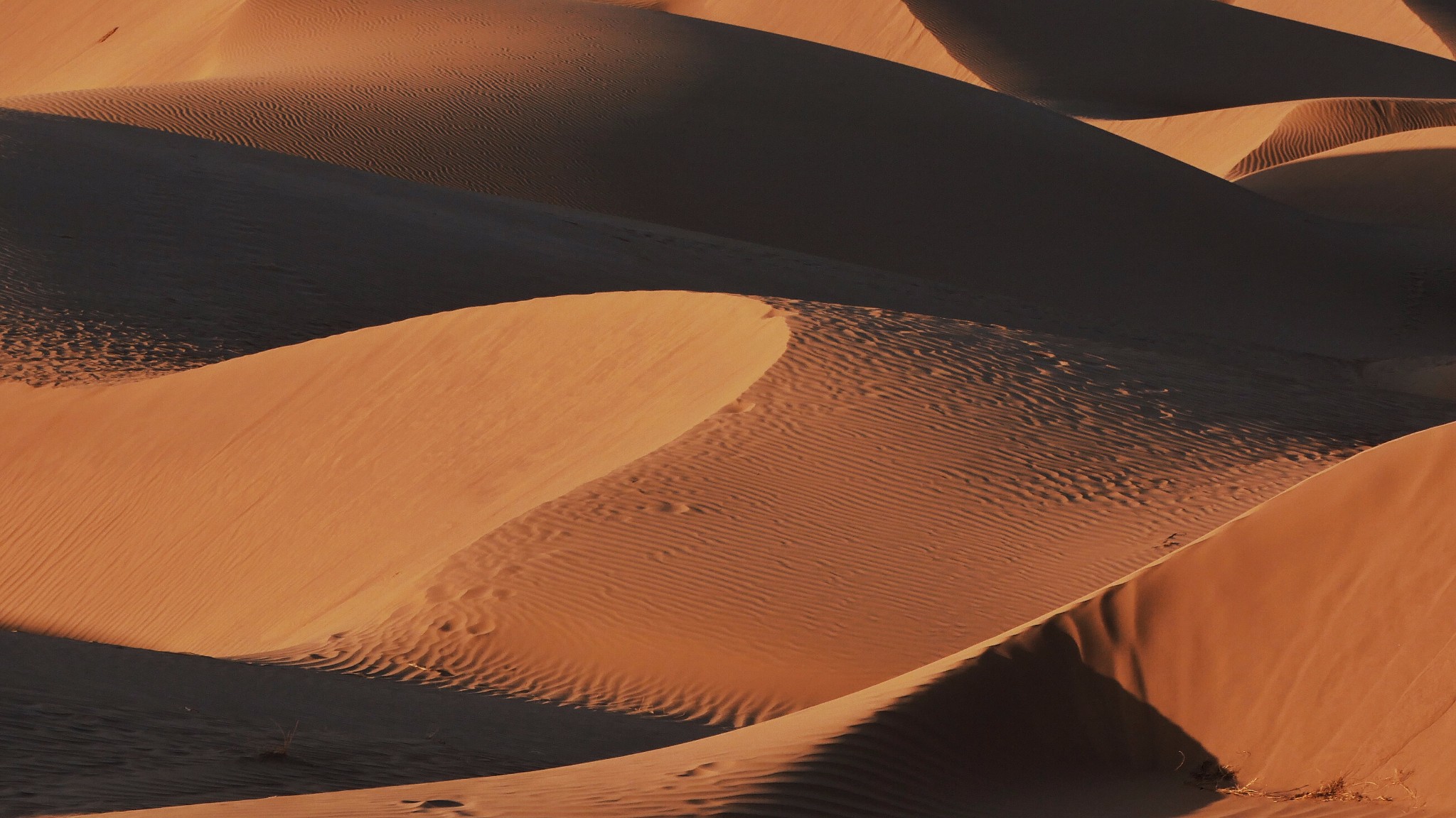 卡维尔沙漠图片