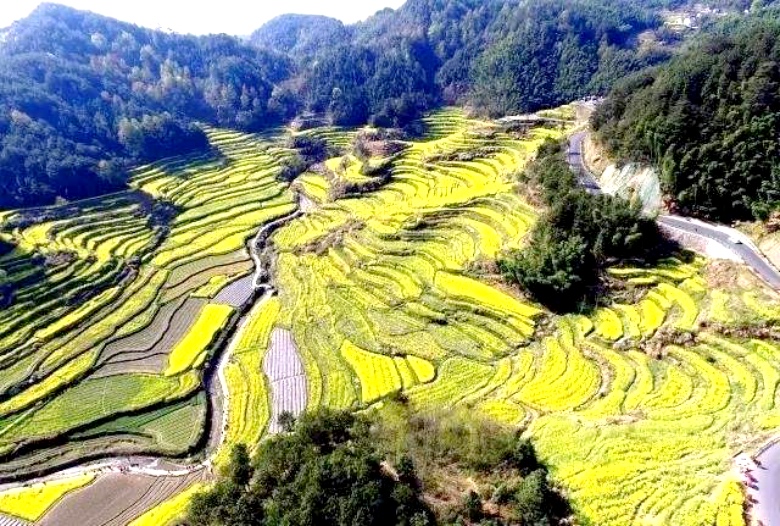 呈坎2日遊呈坎八卦村梯田油菜花海靈山新安江山水畫廊