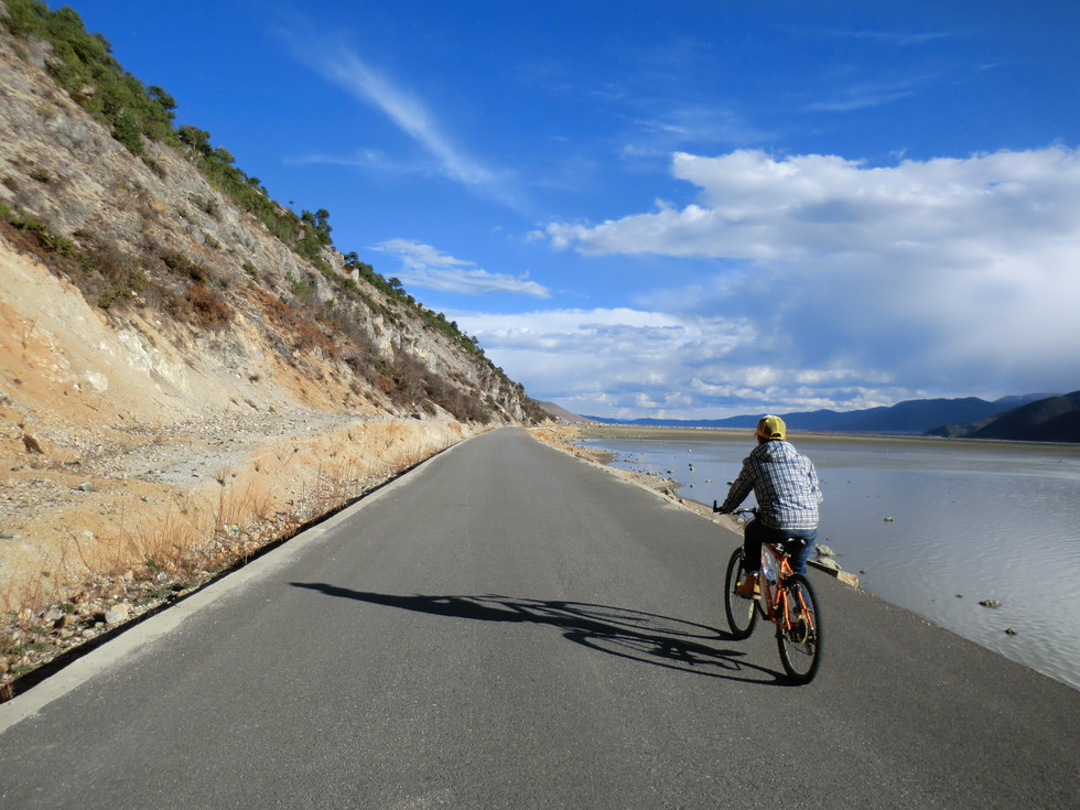 游江湖的小鳄鱼