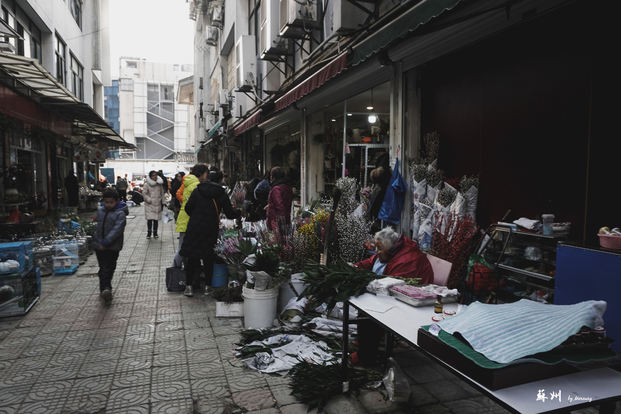 苏州皮市街花鸟工艺品市场
