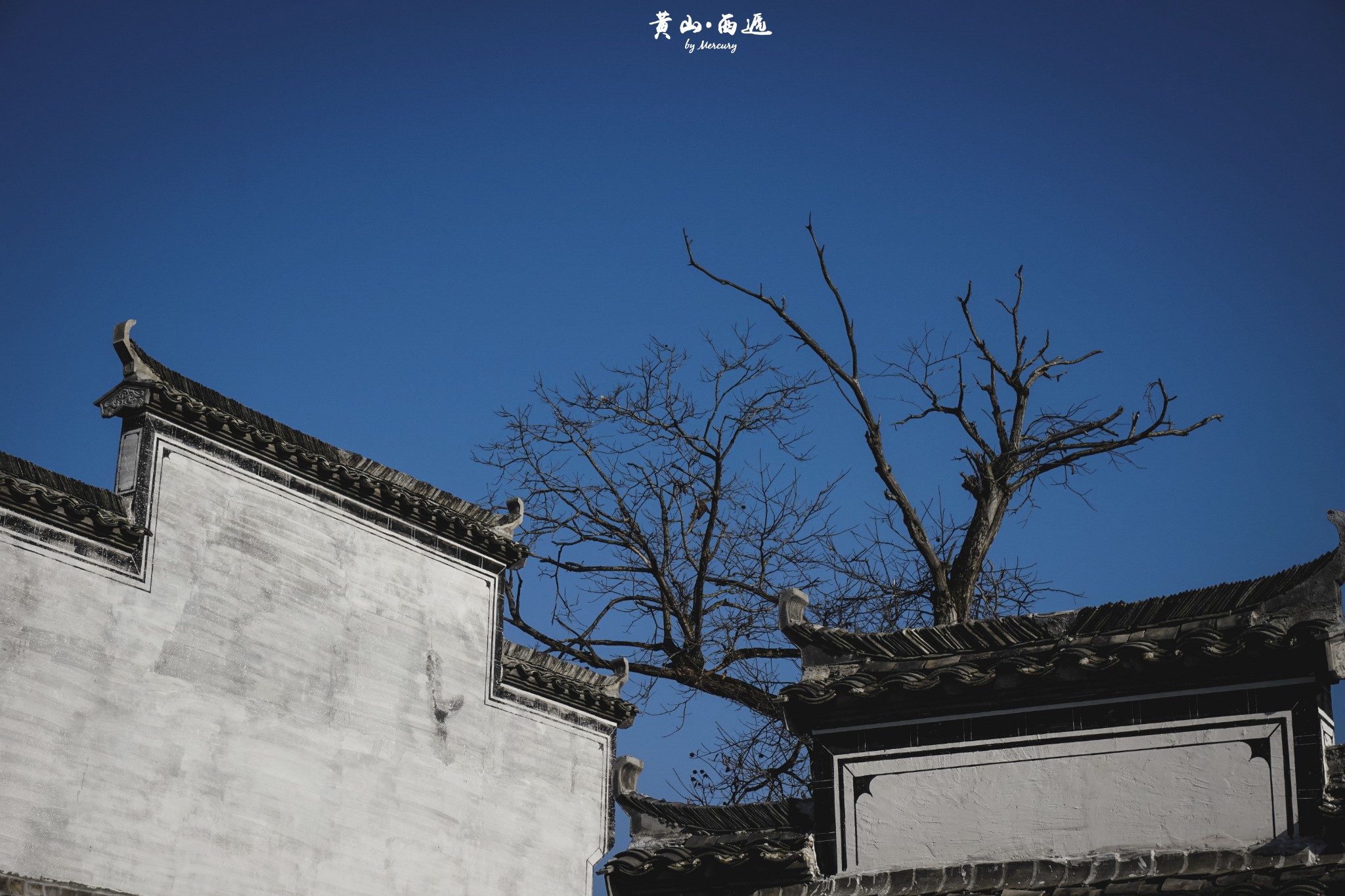 西递