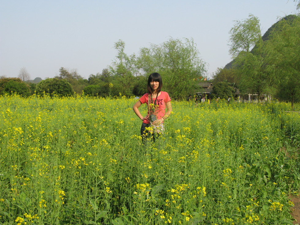 在路上的酸奶瓶