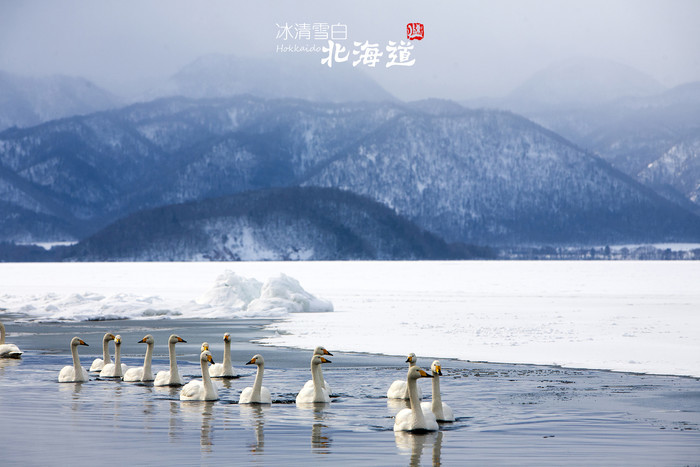 日本绝美秘境在哪 北海道小众旅行道东道央篇 手机马蜂窝