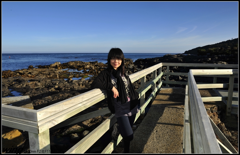 明明是自由的鱼