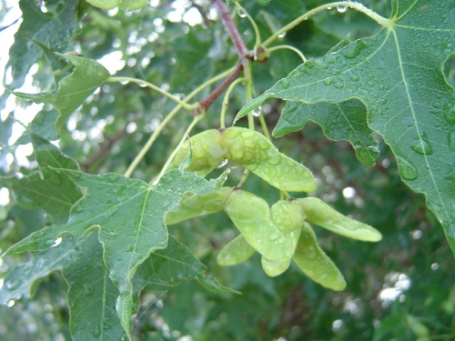 走进内蒙(系列 组图 完整篇),内蒙古自助游攻略 - 马蜂窝