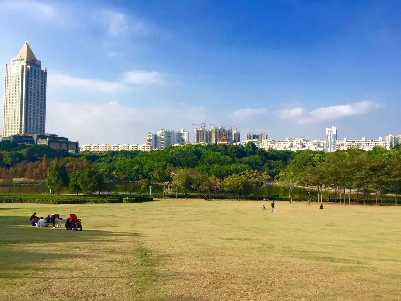 龙岗区教育局 综合教育 第4张